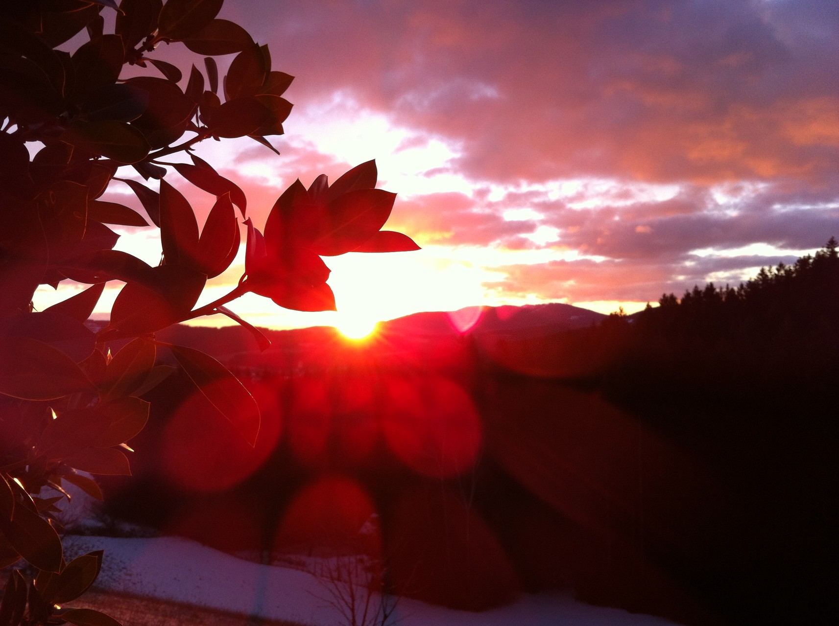 Sonnenaufgang vor der Brennerei