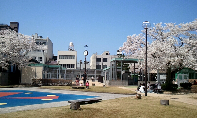 真教寺公園 真教寺公園公式サイト