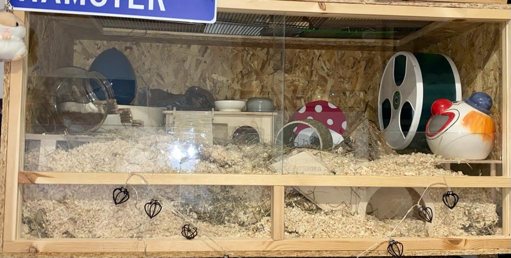 Artgerechtes Gehege - hamster-chances Webseite!