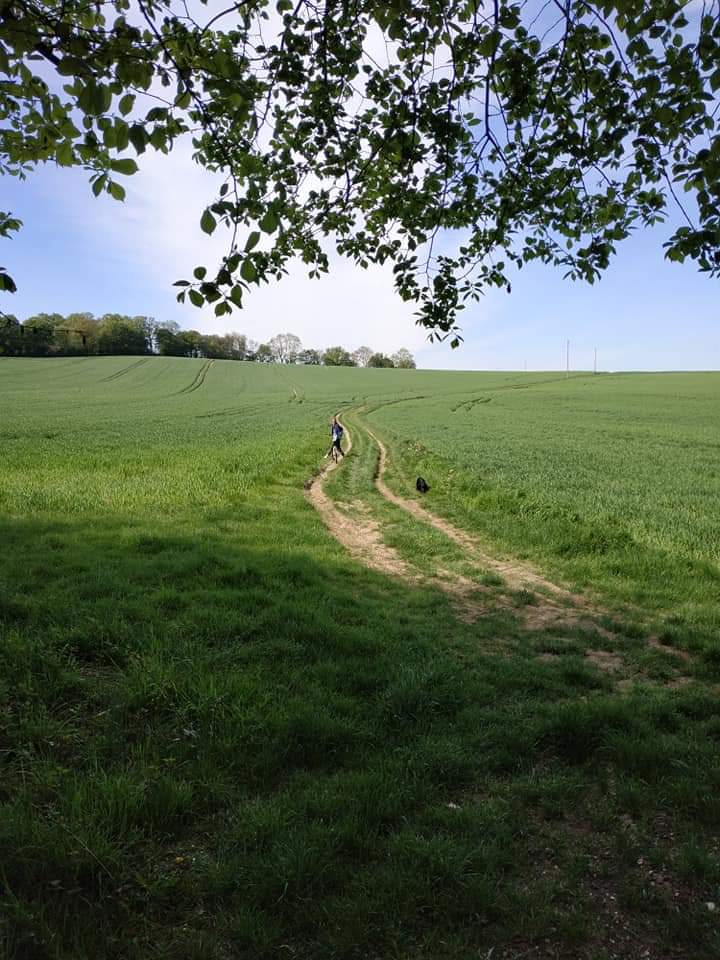 Jolie promenade autour du Campreux