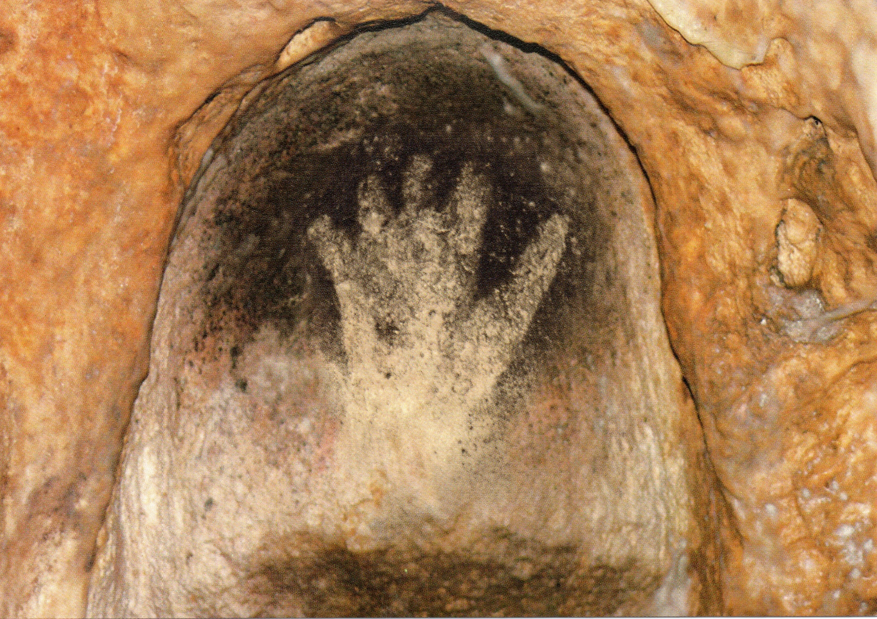 GROTTE DE GARGAS - Aventignan