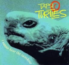 The Tapsi Turtles - I wanna hear the sunshine