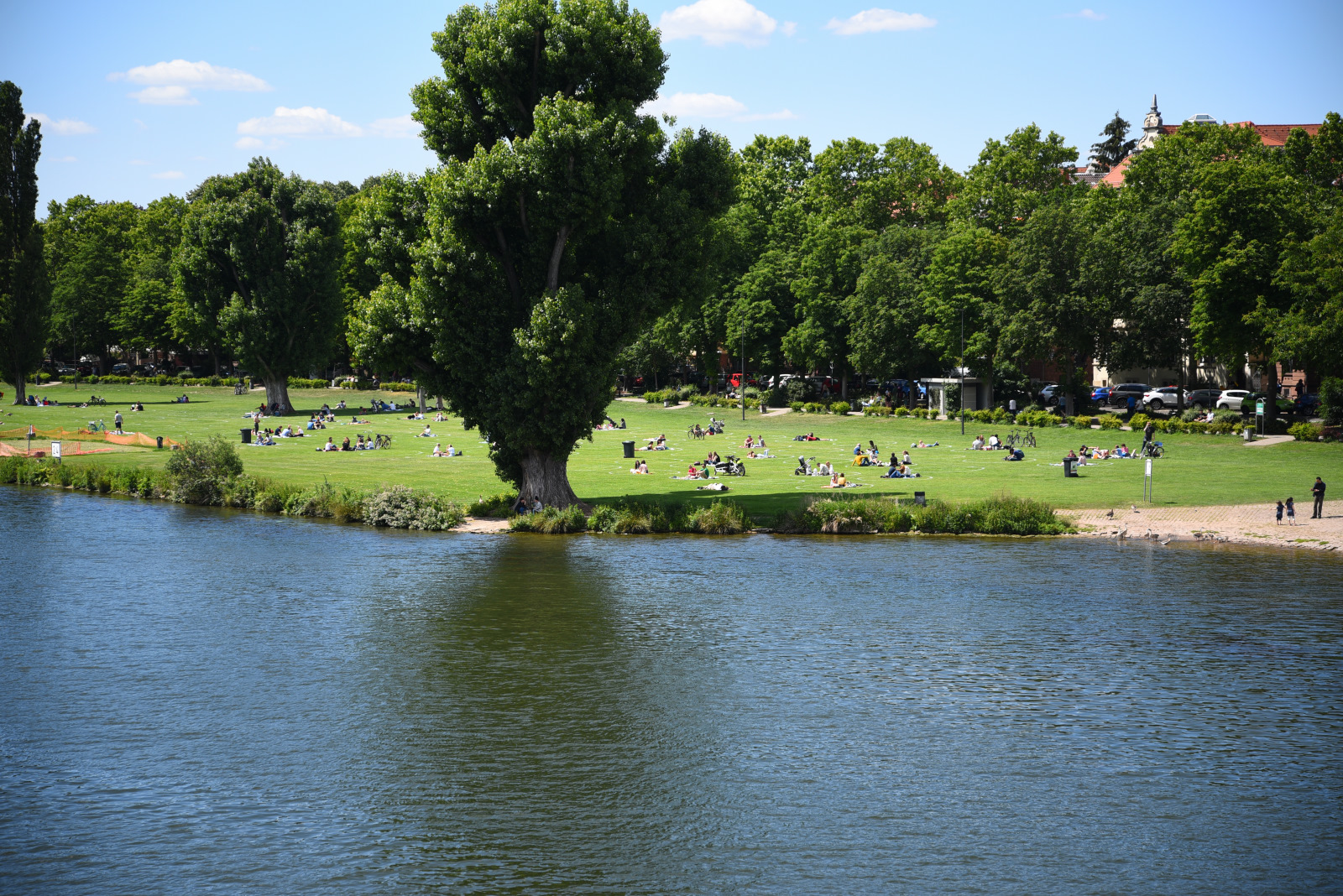 Heidelberg-Neuenheim: Polizei und Kommunaler Ordnungsdienst lösen Abiturfeier auf der Neckarwiese auf
