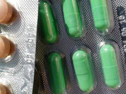 bifidobactérie
