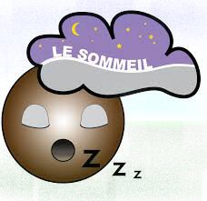 le capital sommeil