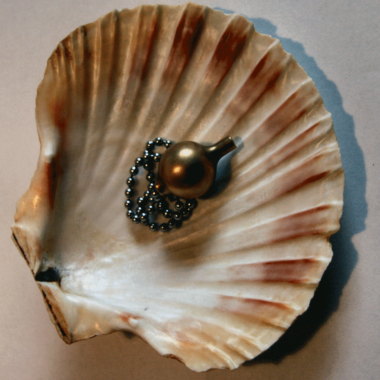 La coquille saint Jacques Sourcier, géobiologue, radiesthesiste