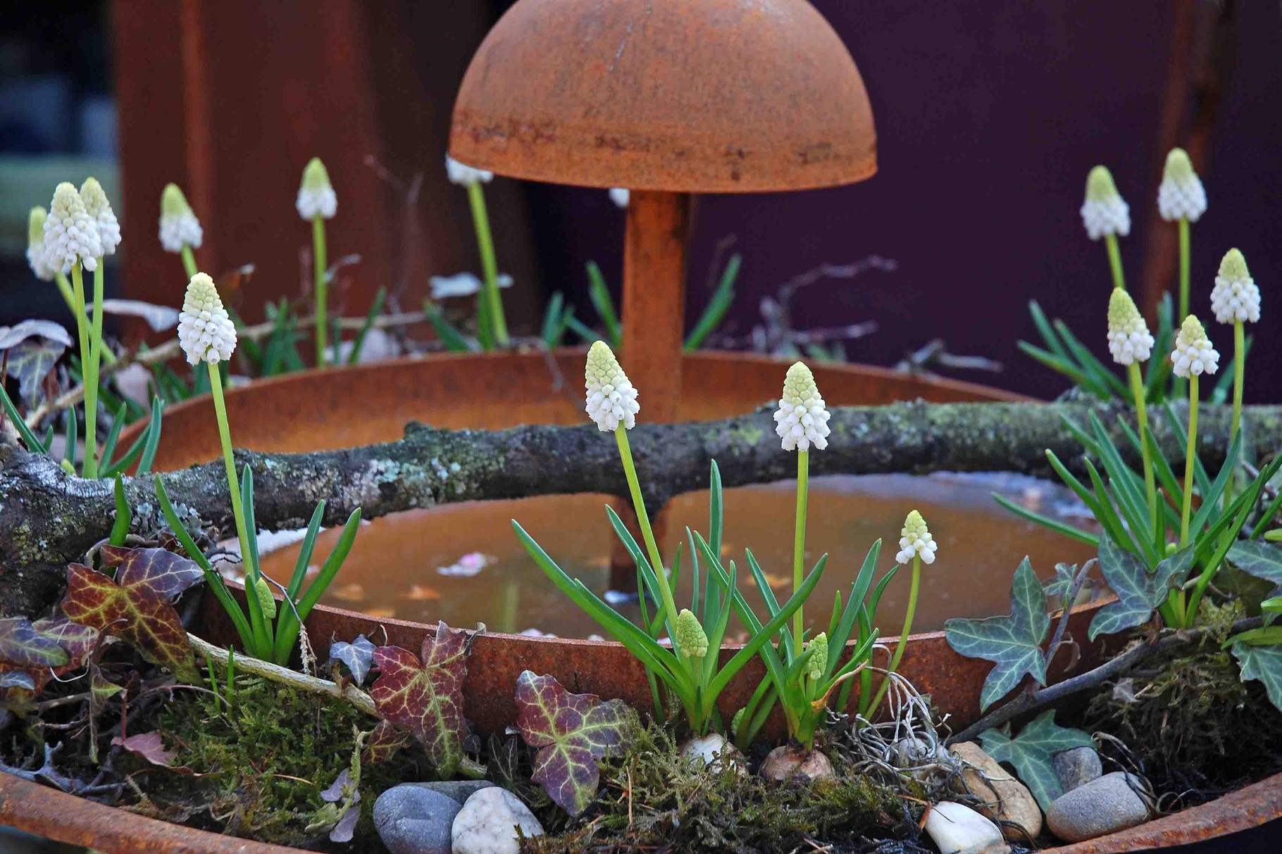 Unser Willkommen bei Garten Ulbrich in Solingen