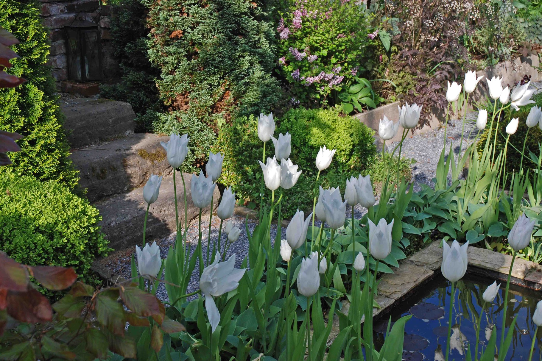 Fotogalerie Garten Ulbrich Willkommen bei Garten Ulbrich