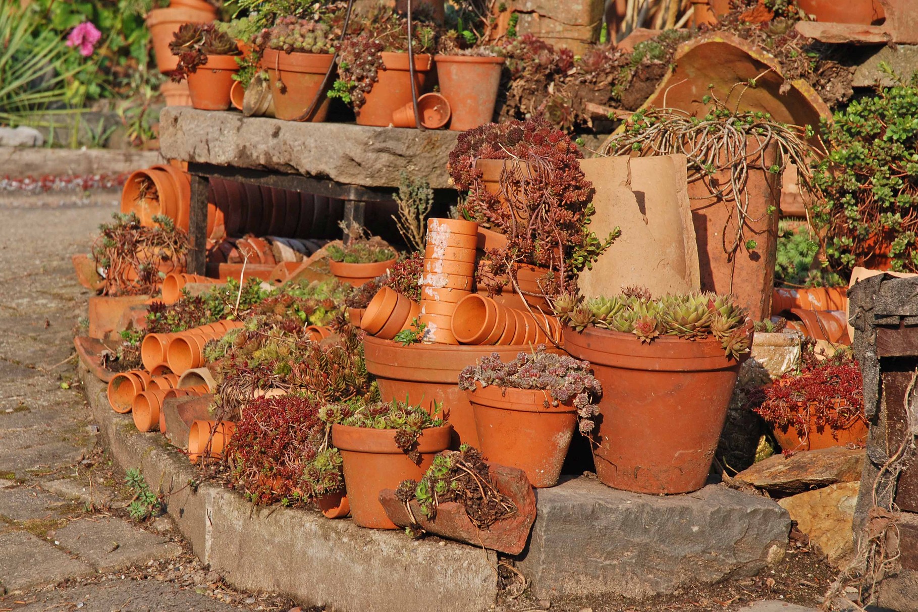 Fotogalerie Garten Ulbrich Willkommen bei Garten Ulbrich