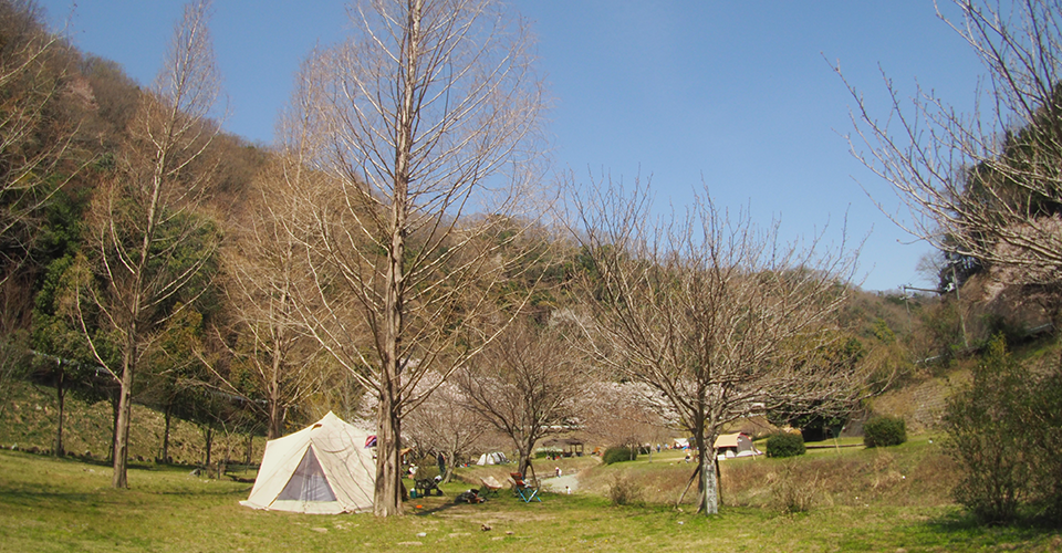 知明湖キャンプ場秋の様子