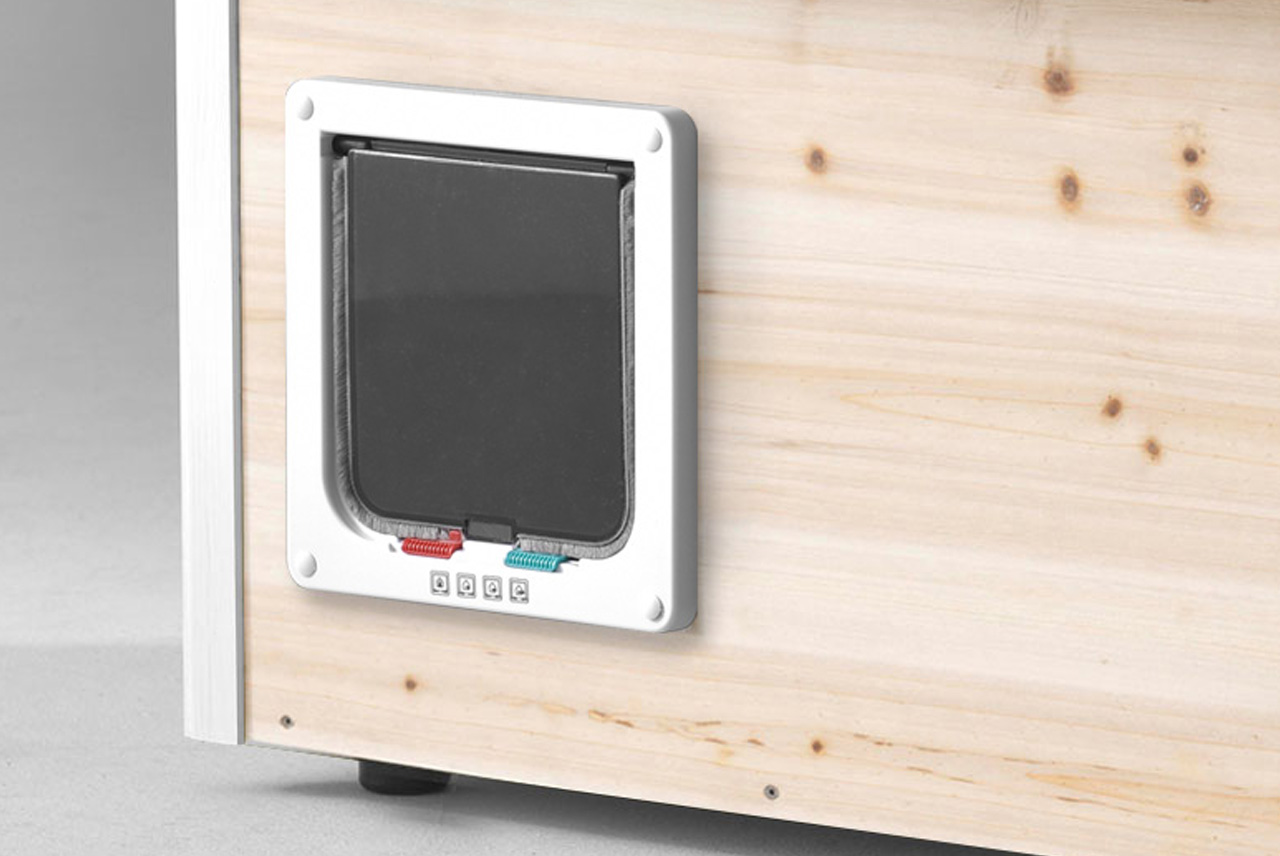 running rabbit Katzenhäuser - running rabbit Katzenhäuser- katzenhaus