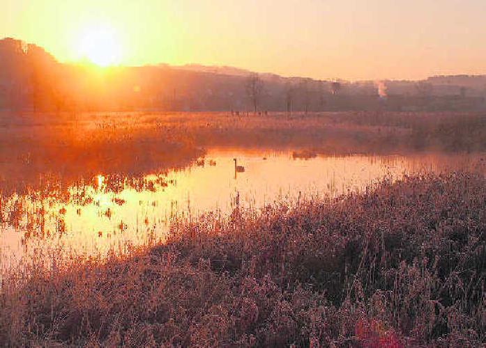Sielmann-Weiher - das Biotop in Rielasingen. 