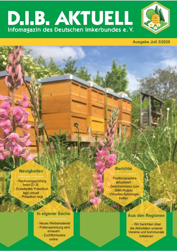 Titelseite des D.I.B. AKTUELL Juli 2020 - Bienenkästen auf dem Obstsortenparadies des NABU Bretten