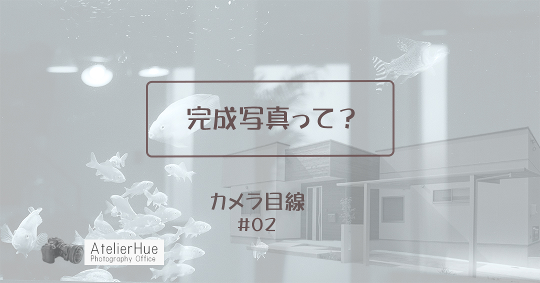 カメラ目線 No.2「完成写真って？  」