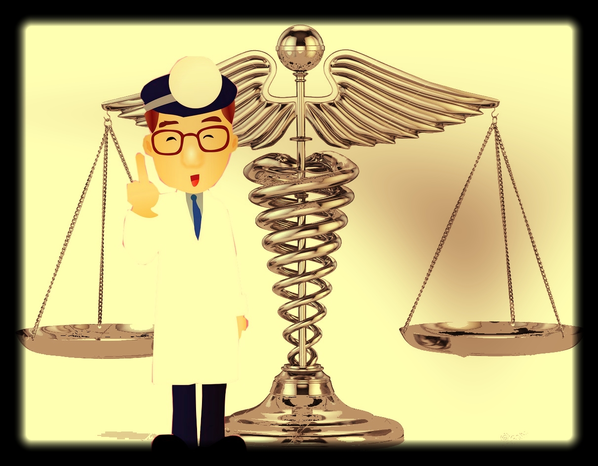 La responsabilite des etablissements sanitaires et sociaux penale administrative civile