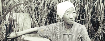 할머니의 말년을 가족같이 돌봤던 재일본조선인총연합회(총련) 오키나와 지부의 일꾼이었던 김수섭(74), 김현옥(73)씨 부부와 함께 나들이를 갔다가 찍은 사진. 사진 김수섭씨 부부 제공 