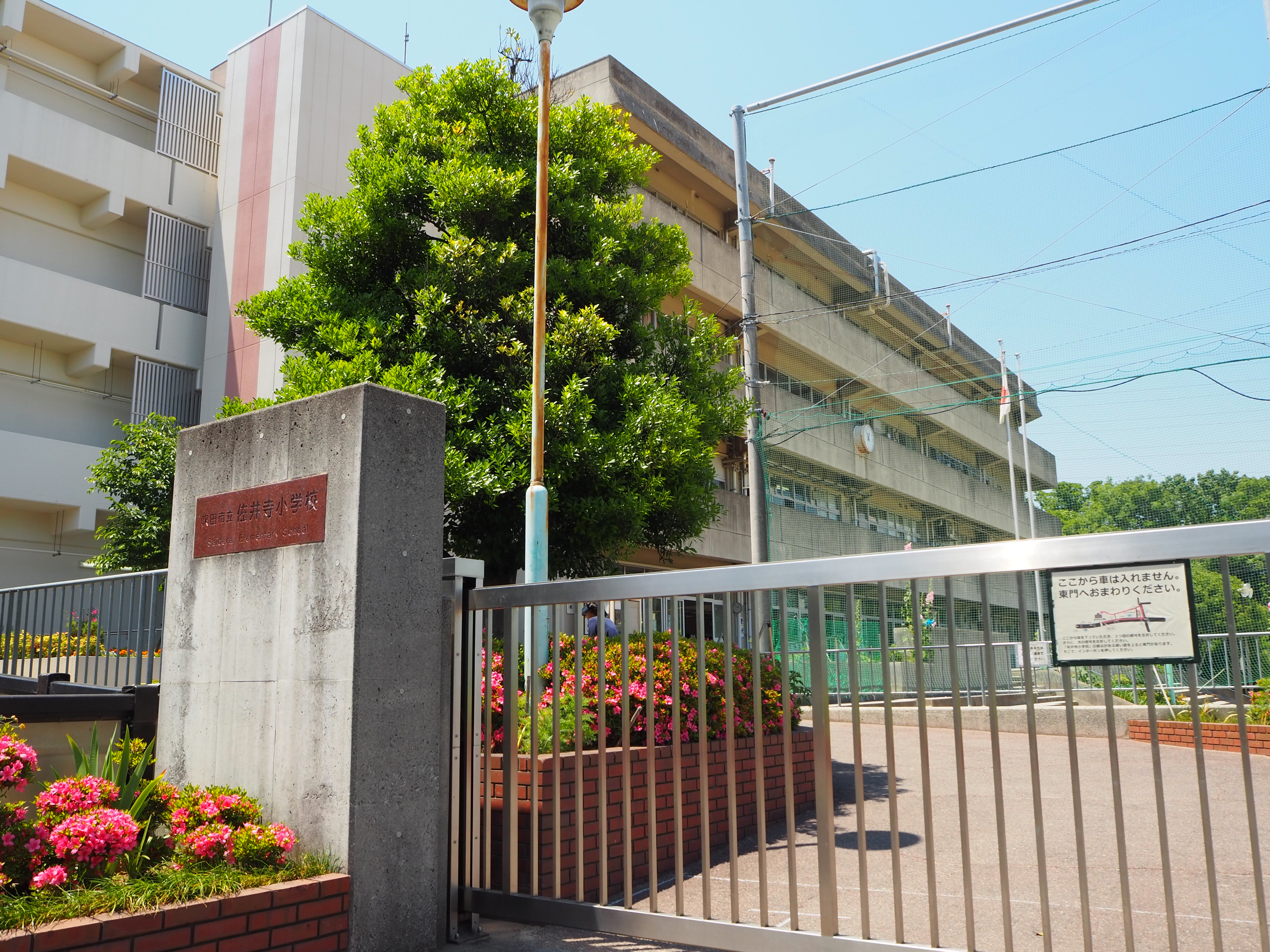 佐井寺小学校pta ホームページへ ようこそ 佐井寺小学校ｐｔａ