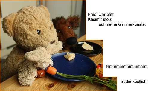 Cäsar geniesst im Kreis seiner Freunde, Kasimir und Fredi, seine erste Möhre, hmmm, lecker