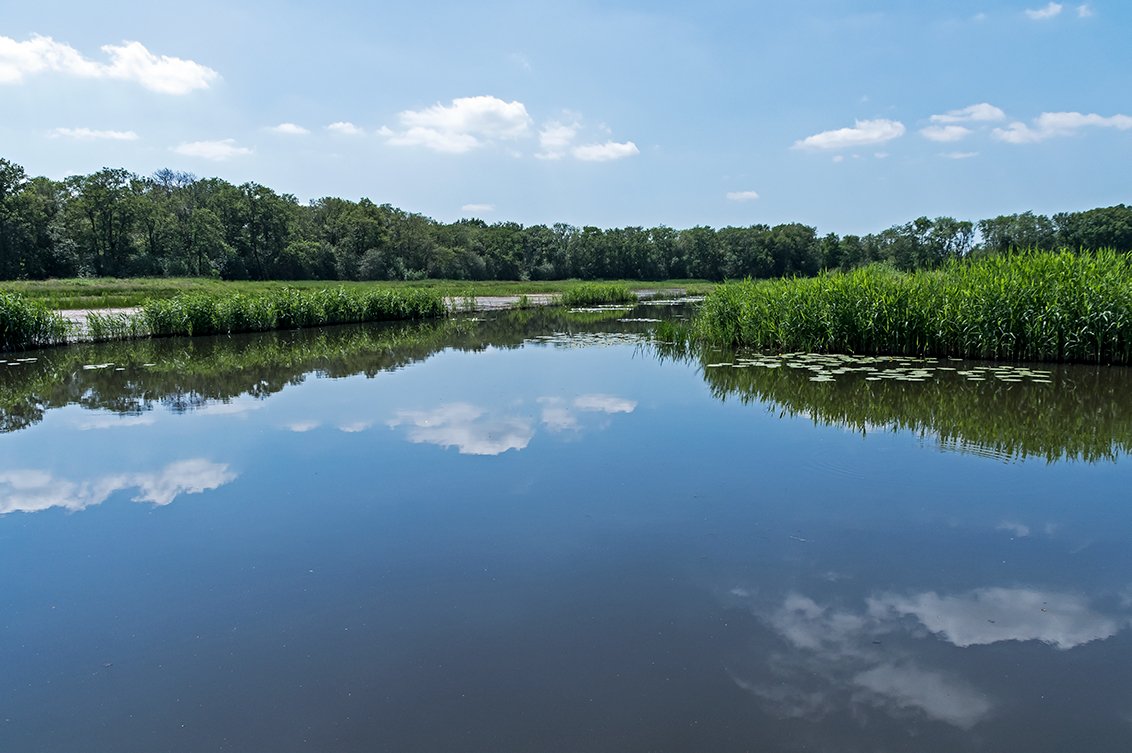 Naardermeer