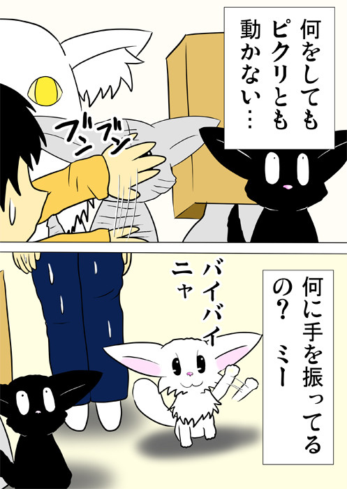 窓に向かって前足を振るマンチカン猫　ふわもふ猫の日常四コマweb漫画295話2p