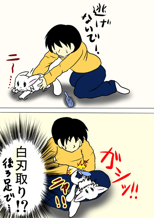 後ろ足でブラシをつかむマンチカン猫　ふわもふ猫の日常四コマweb漫画297話2p