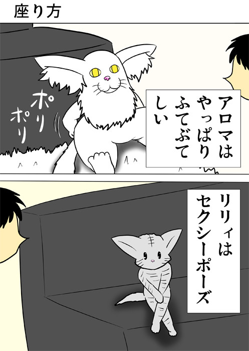 メインクーン猫とアメリカンショートヘア猫の座りかた　ふわもふ猫の日常四コマweb漫画296話1p