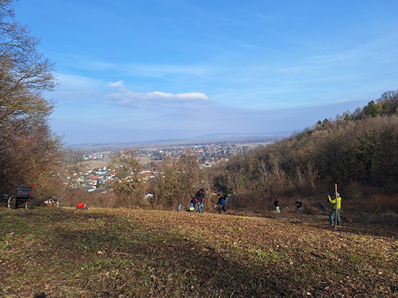 ... Thema "Magerwiese"