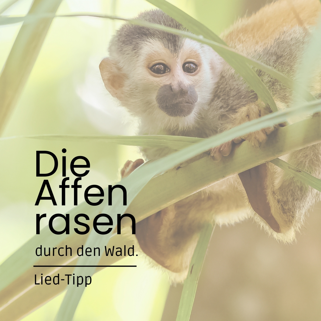 Die Affen rasen durch den Wald