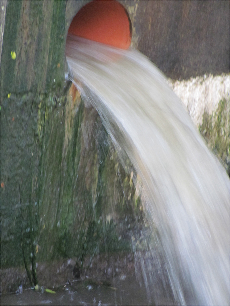 2. Platz: Christa Haberl "Wasser in Bewegung"