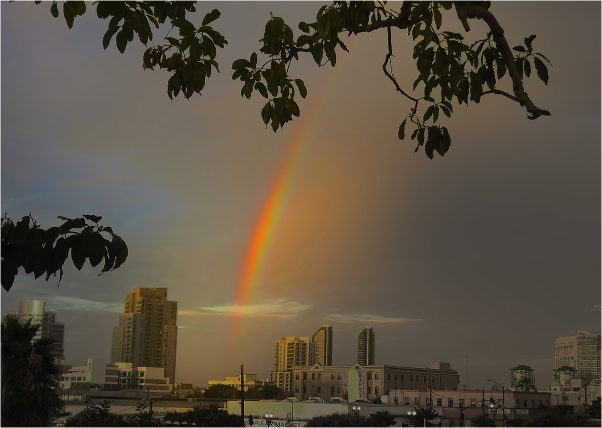 3. Platz: Christopher Schmitt "San Diego Regenbogen"