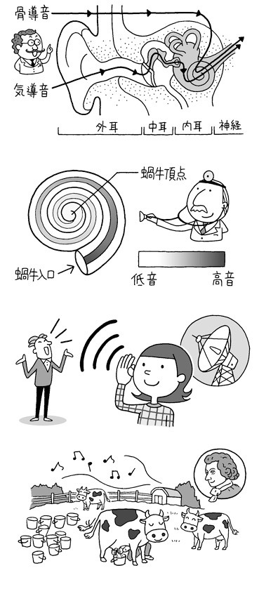 人体の驚異！耳と声と音の謎と不思議（河出書房新社）
