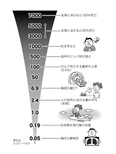 放射性物質から身を守る食事法（河出書房新社）