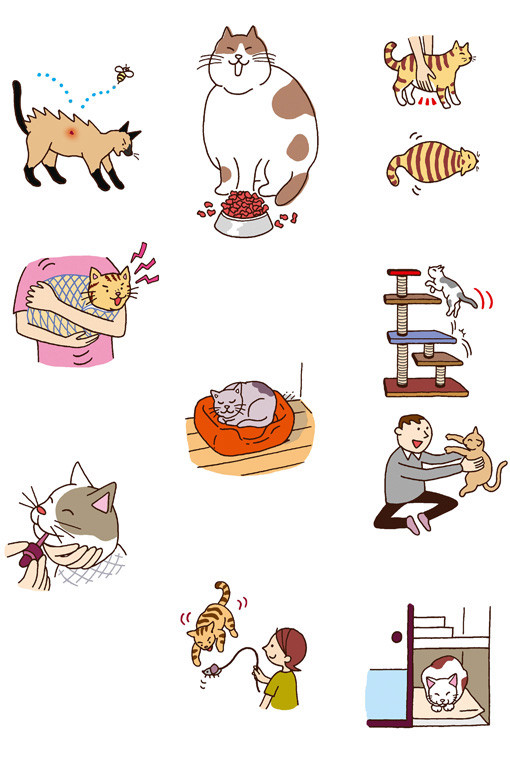 かわいい猫の育て方（主婦の友社）