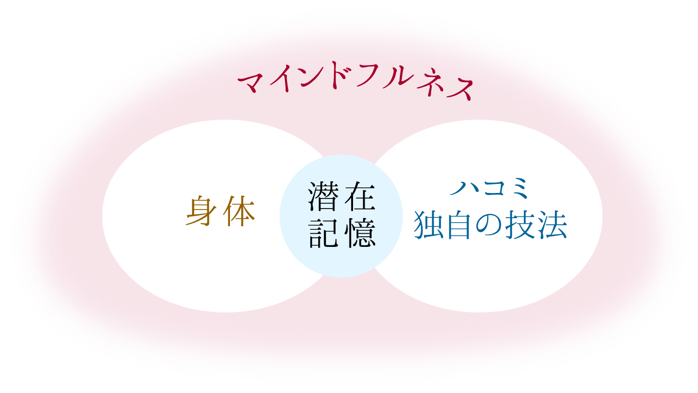 ハコミセラピーとは - ハコミセラピーHIJ | 日本ハコミ研究所