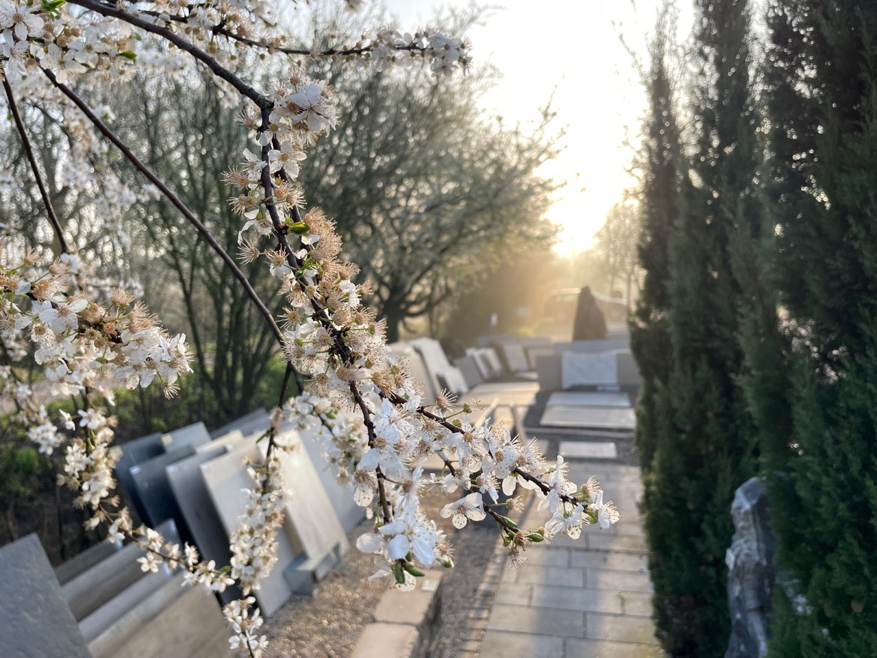 Genießen Sie jetzt den Frühling in unserer Ausstellung