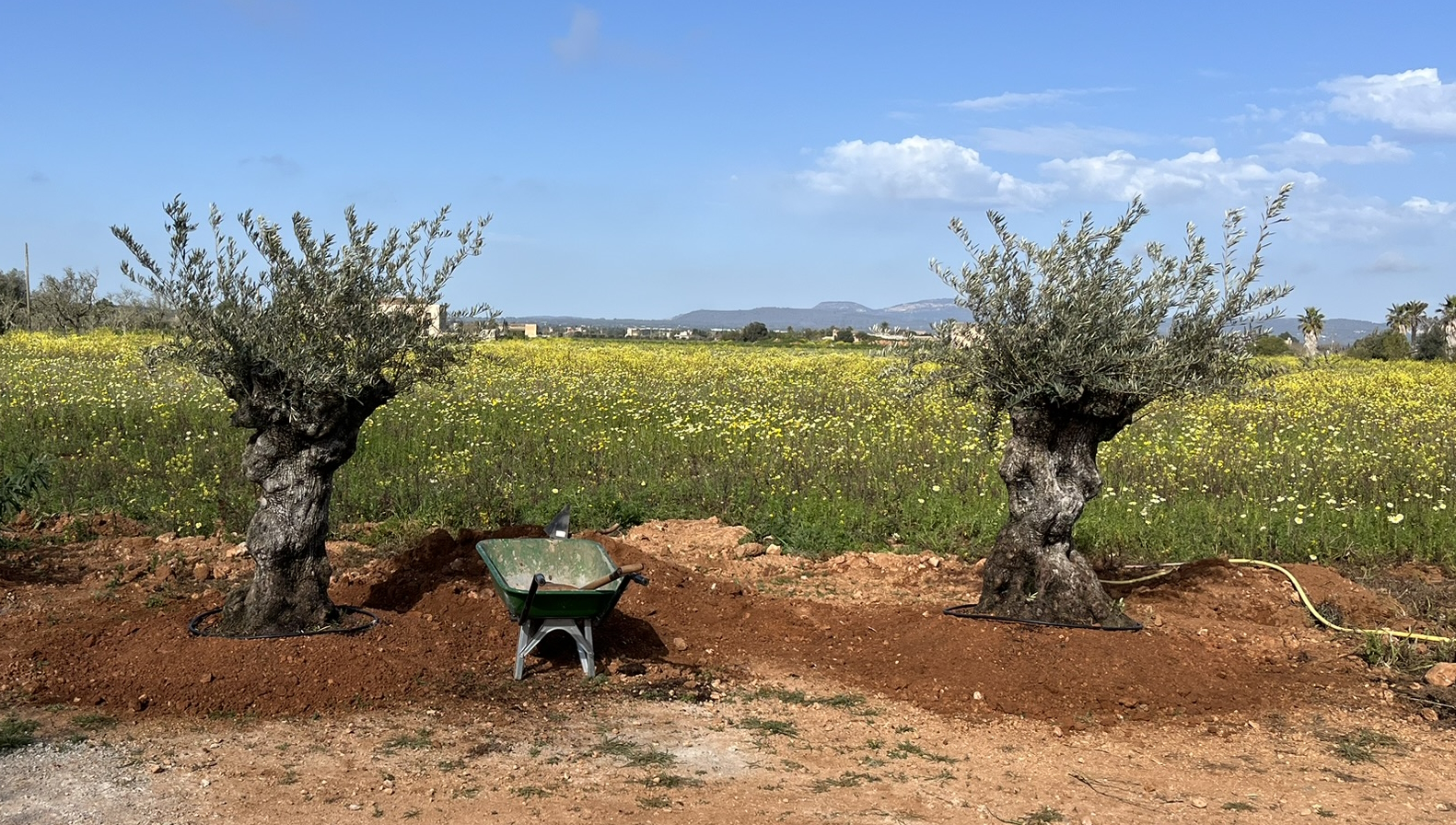 Nachhaltiger Urlaub - sustainable Holidays