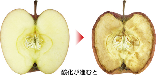 抗酸化で健康な身体作りを