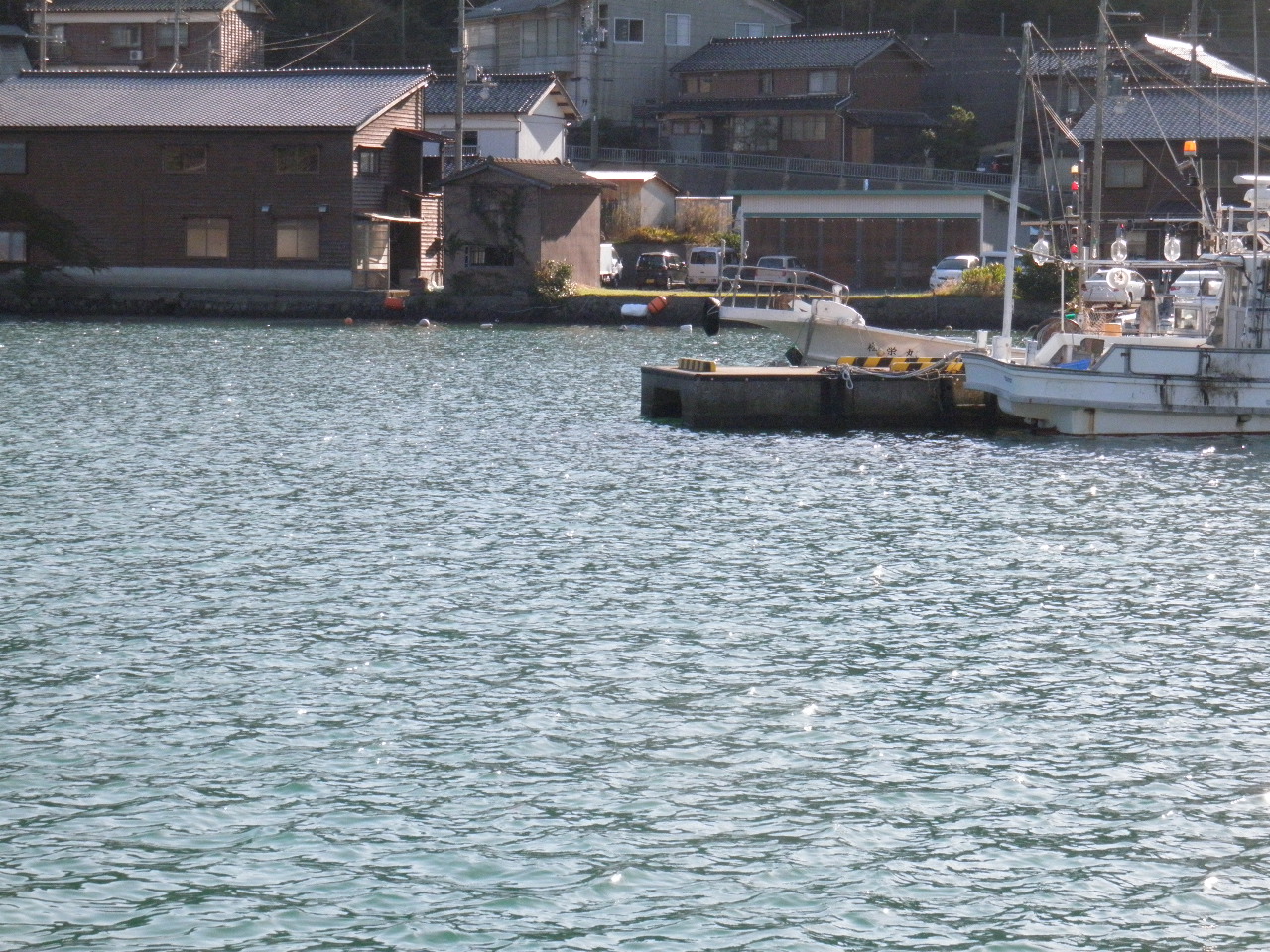 柴山港沖ノ浦湾奥桟橋、小型船の船着き場なので、自由に釣りはできないが、スズキの60、70cm、チヌ50cm、ヒラメ70cmの実績場