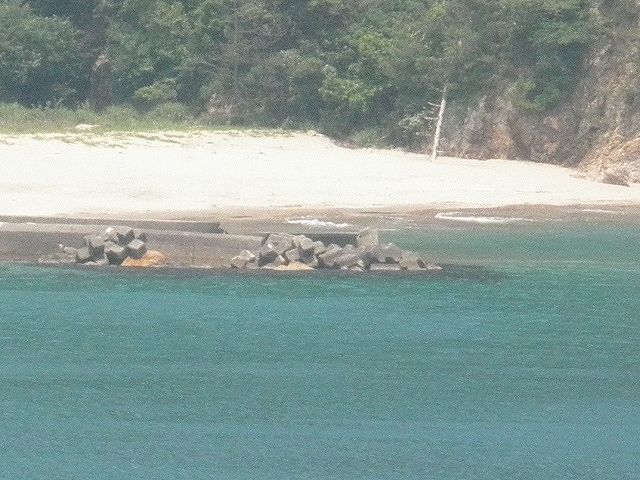 香住・佐津・訓谷の浜・川尻、当たりハズレの多い場所、砂浜は遠浅ではない。かつてはスズキの９５ｃｍ、カレイの４０ｃｍ級、大ギスなどの実績はある 