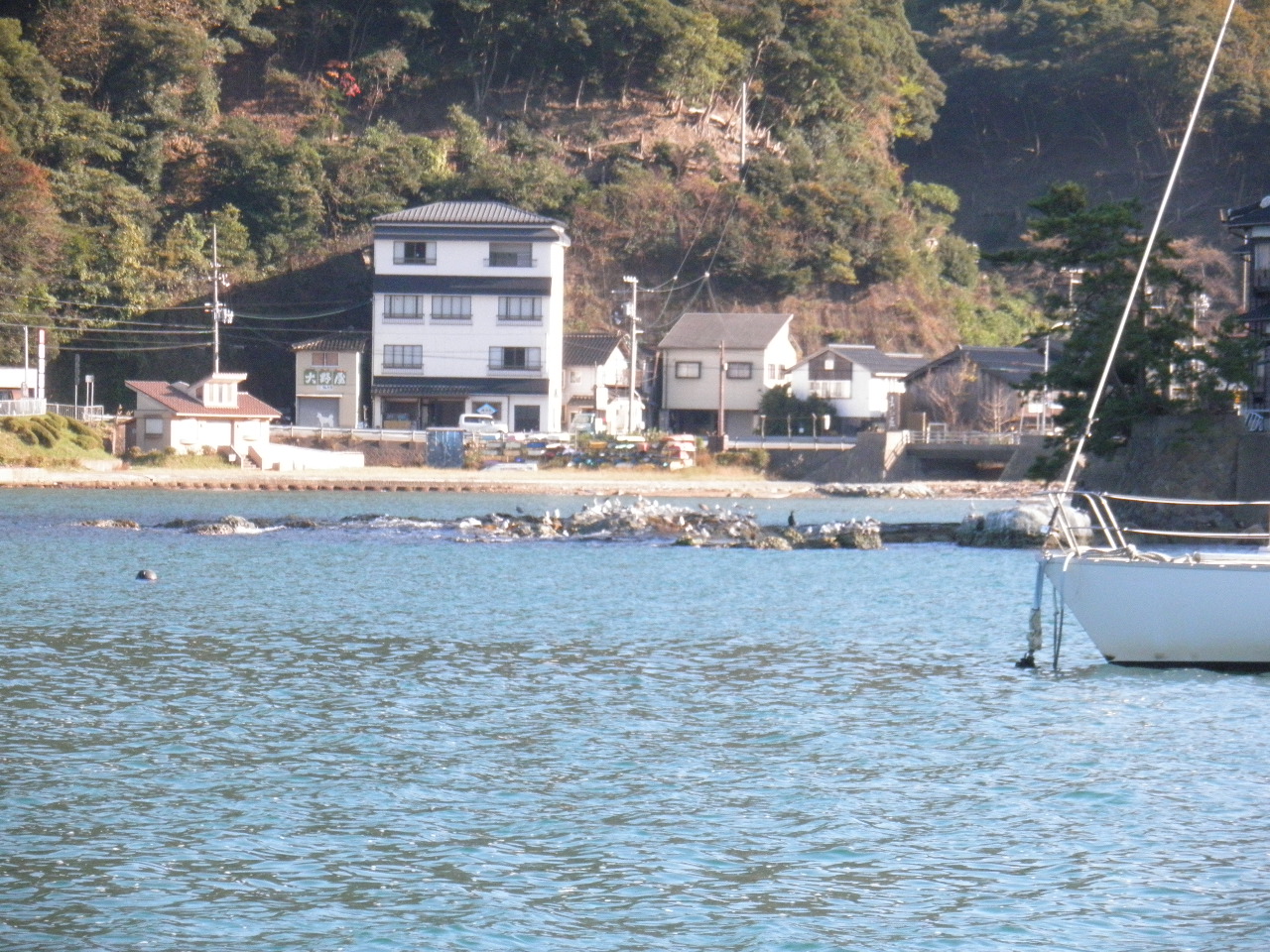 柴山上計道路横の浅い岩場、投げ釣りしかできない。シロギスの小物がダラダラと釣れ続く、ごくまれに大キスが出る。