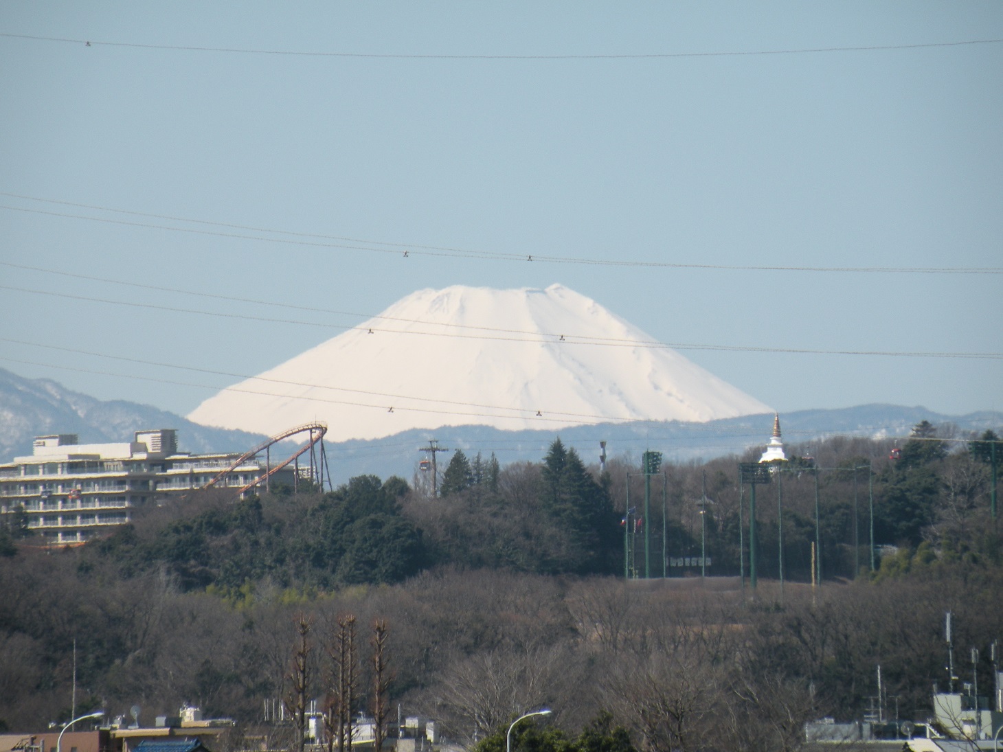 当院傍の多摩川の堤からみた富士山