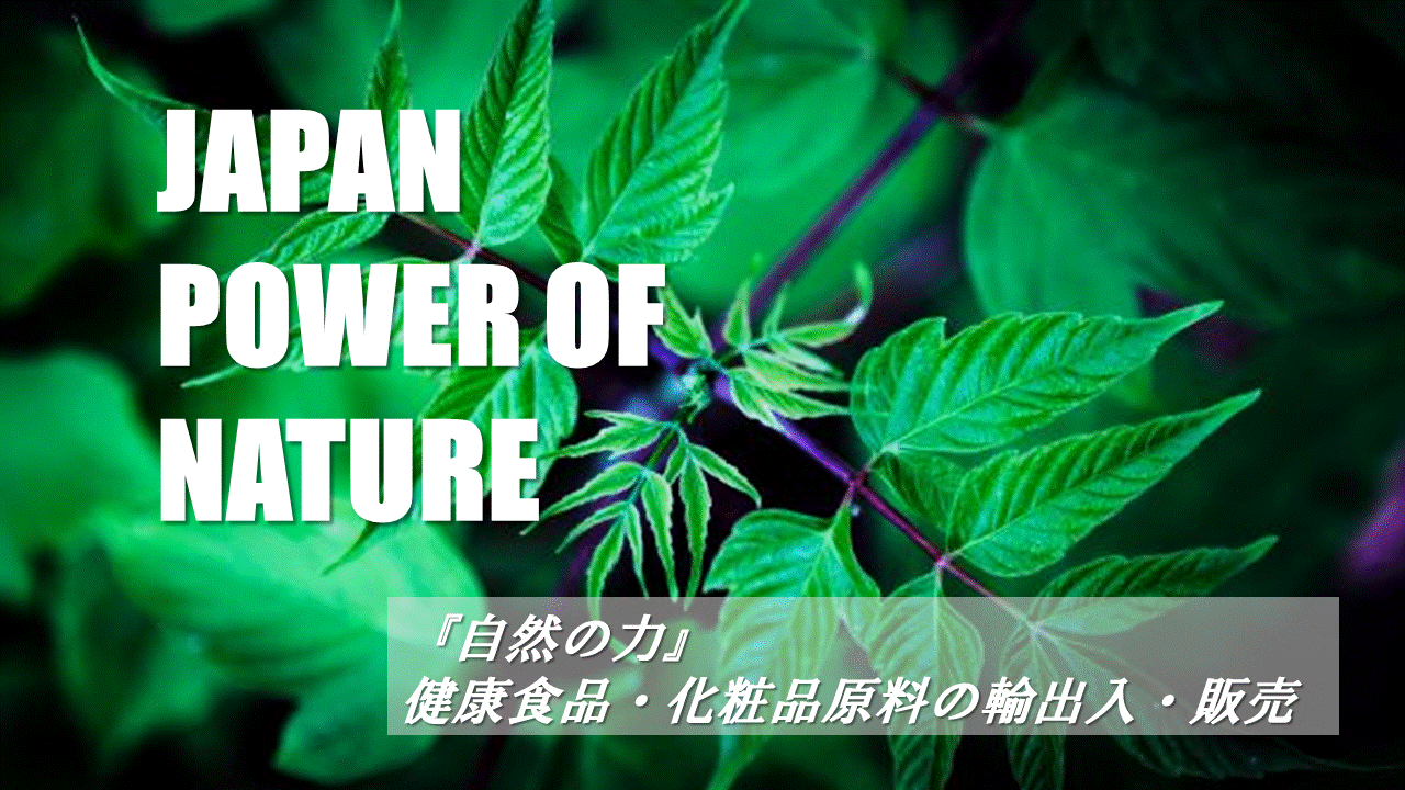 ＪＰＮ株式会社