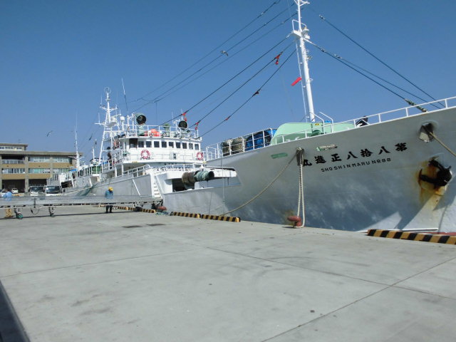 遠洋底刺し網漁業