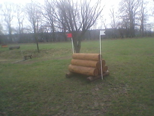 Holzstapel Höhe   600€   (bei Höhe ca 100cm und Breite 150cm)
