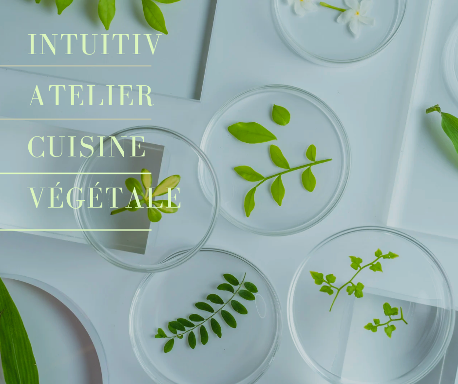 Cuisine végétale