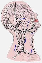lymphe-visage-massage-nice
