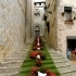 Temps de Flors, Girona