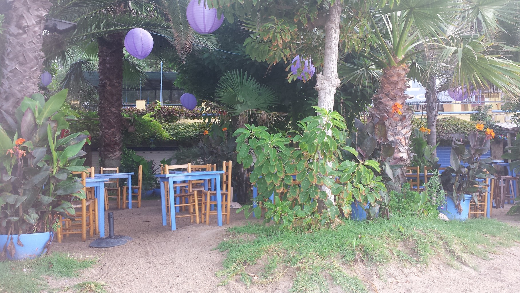 Bar restaurante en la playa, Beach Club