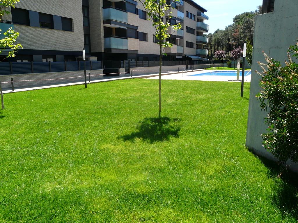 Jardín del apartamento de vacaciones