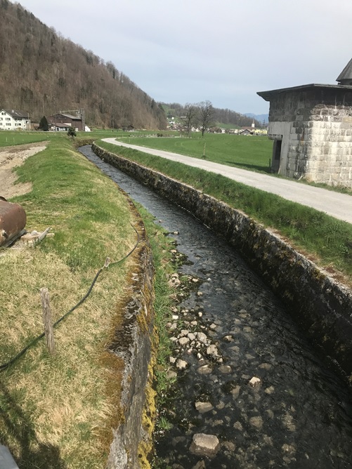 Rauti beim Stampf bachabwärts